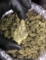 WEED LEMON OG 24% / KWASY / EXTAZY / KRYSZTAŁ