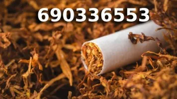 Bardzo Dobrej Jakości tani TYTOŃ na wagę 85 PLN/1KG